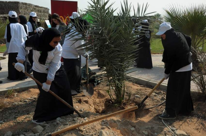 2800 طالب يزرعون 760 شجرة سدر وغاف ونخيل في الإمارات