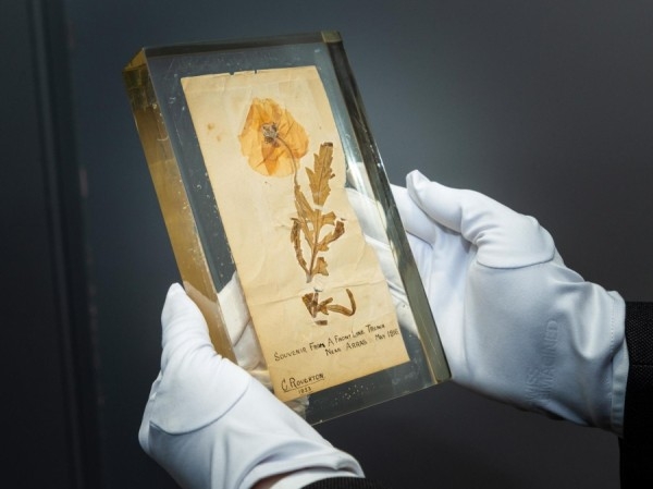 تعرف إلى قصة «زهرة الخشخاش» الأقدم في العالم
