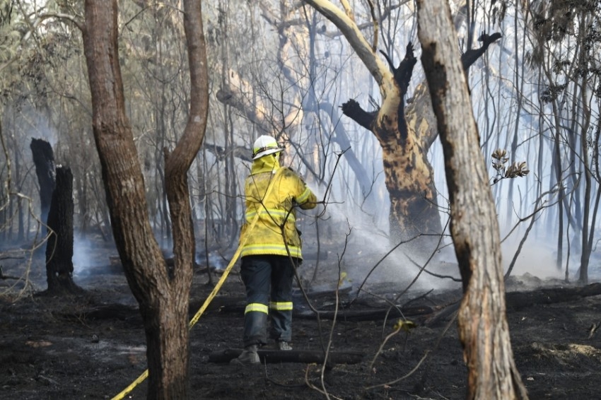 حرائق الغابات في أستراليا تصل ضواحي سيدني
