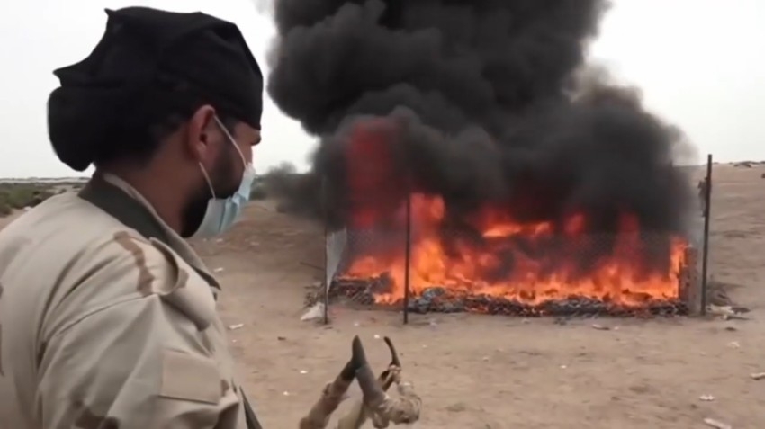 بالفيديو.. الجيش اليمني يتلف كميات من الحشيش تابعة للحوثيين