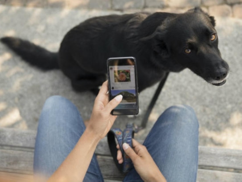 إدمان الهواتف يحول الكلاب إلى وحوش عدوانية
