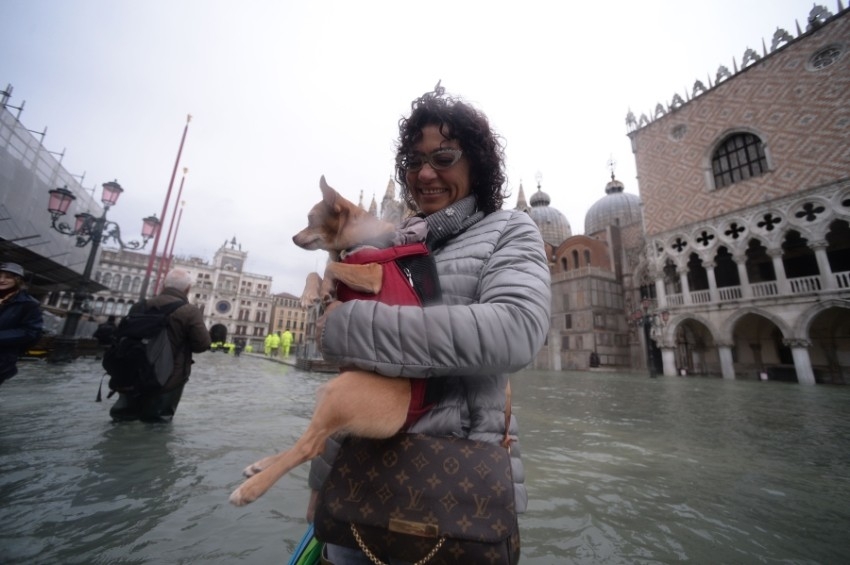 رغم الفيضان.. السياح يستمتعون في البندقية