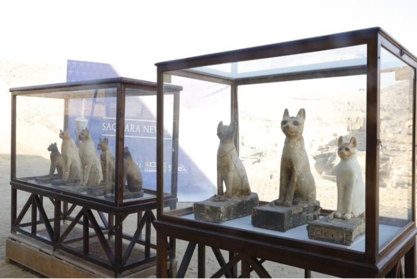 اكتشاف 100 تمثال وصندوق خشبي بمنطقة سقارة المصرية