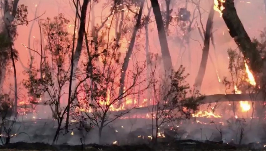 الأستراليون يفرون من ارتفاع درجات الحرارة وسط تهديد بانتشار الحرائق