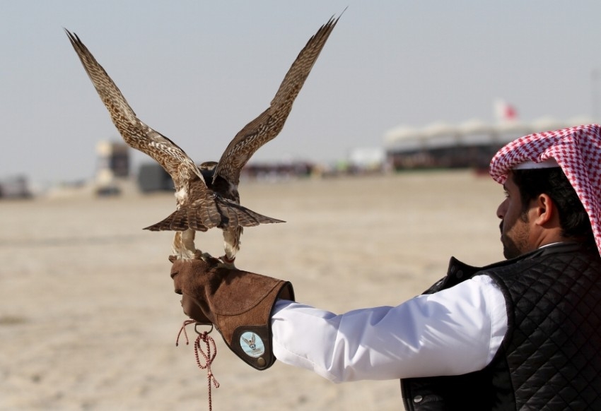 اعتقال 7 قطريين في باكستان بسبب «الحبارى الأفريقي»