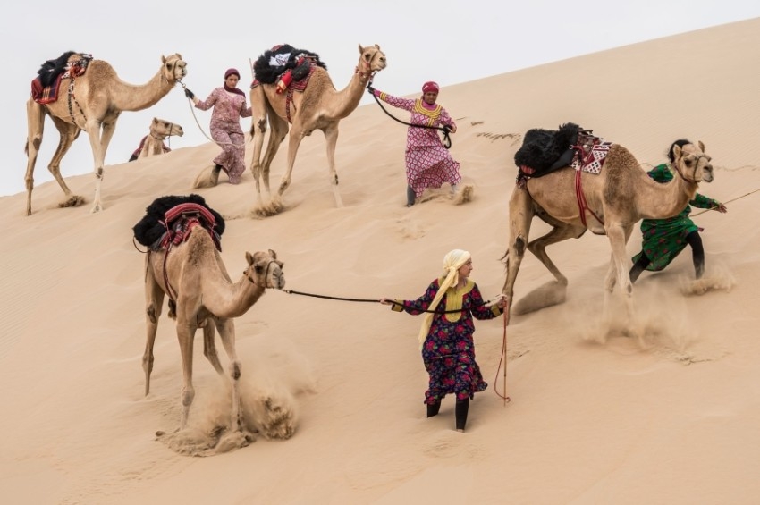 «رحلة الهجن» تقطع 500 كم وسط الكثبان الرملية .. وتصل إلى دبي الأربعاء