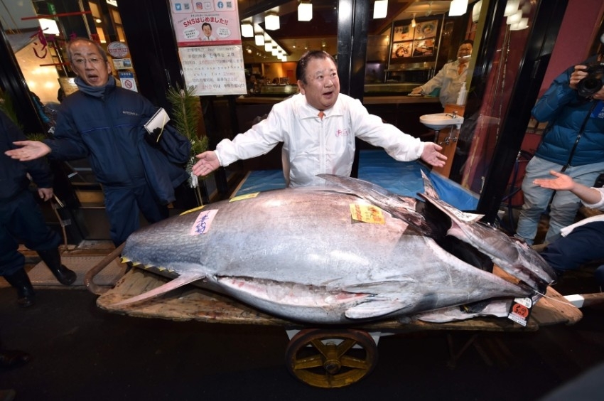 بيع سمكة تونة بـ 1.8 مليون دولار في اليابان