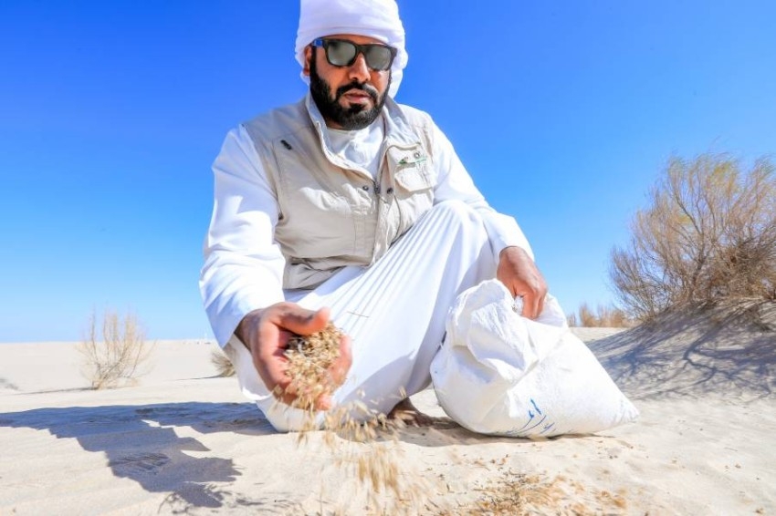 هيئة بيئة أبو​​​​​​​ظبي تطلق مشروع نثر مليون بذرة نباتات برية