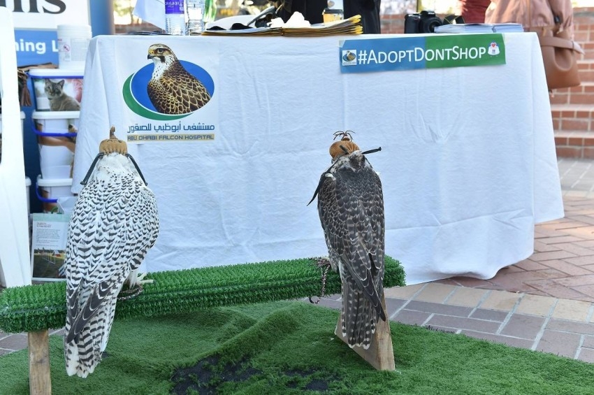 مهرجان عالم الحيوانات الأليفة يودع جمهوره في أبوظبي
