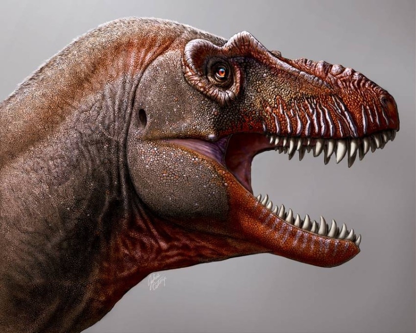 متحف الديناصورات واجهة الرياض