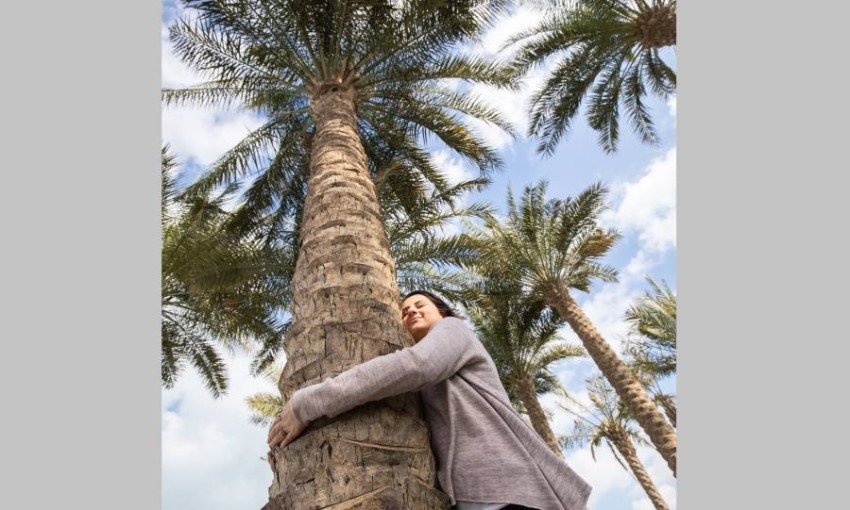 أشجار النخيل تغني في حديقة «اللوفر أبوظبي» بـ 3 لغات
