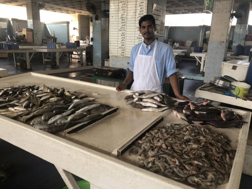 بلدية الفجيرة تكثف حملاتها على أسواق الأسماك والخضار