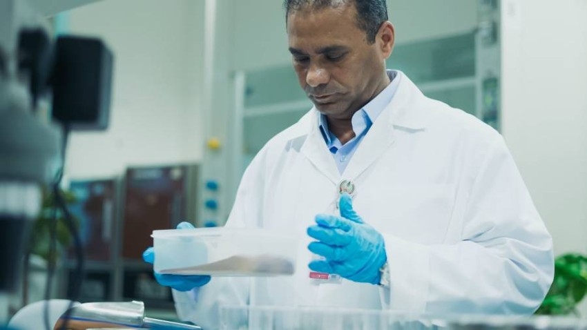 باحث بجامعة الإمارات ينتج أصباغاً غذائية من سعف النخيل