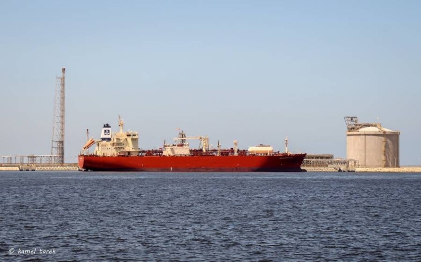 «الدولية للموانئ» تفوز بدعوى تحكيم دولي ضد هيئة ميناء دمياط