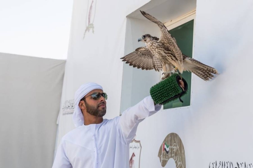 «الصيرمي» يتوج بلقب دوري الإمارات للصيد بالصقور
