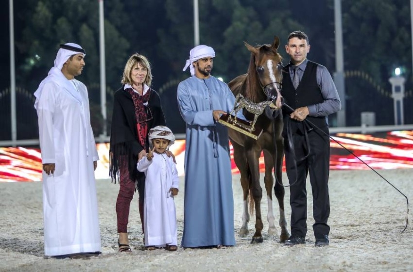 ثنائية لمربط عجمان في افتتاح أبوظبي الدولية لجمال الخيول