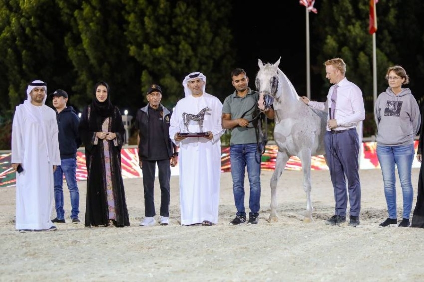 "الأريام بارع" يخطف الأضواء في ختام أبوظبي الدولية لجمال الخيول