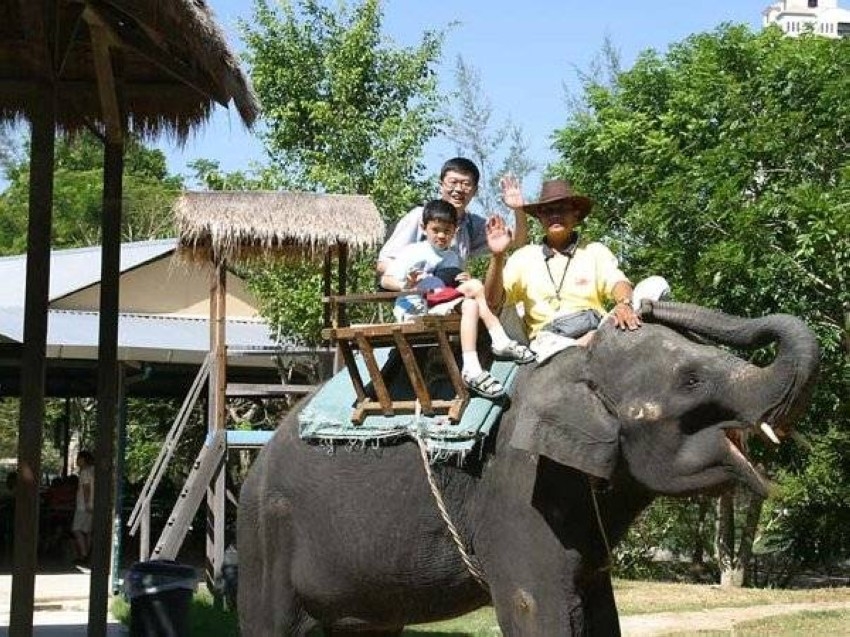 حظر ركوب الفيلة في حديقة حيوانات بنغلادش