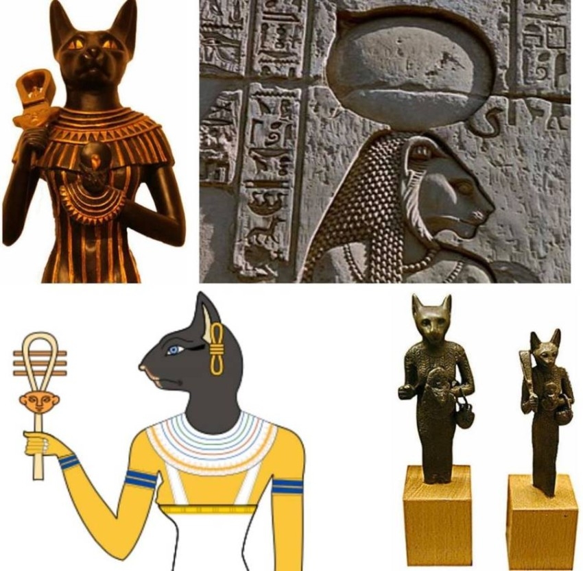 معتقد مصري قديم يؤمن بتجول أرواح التوائم ليلاً في جسد قطة.. إليكم أغرب الحكايات