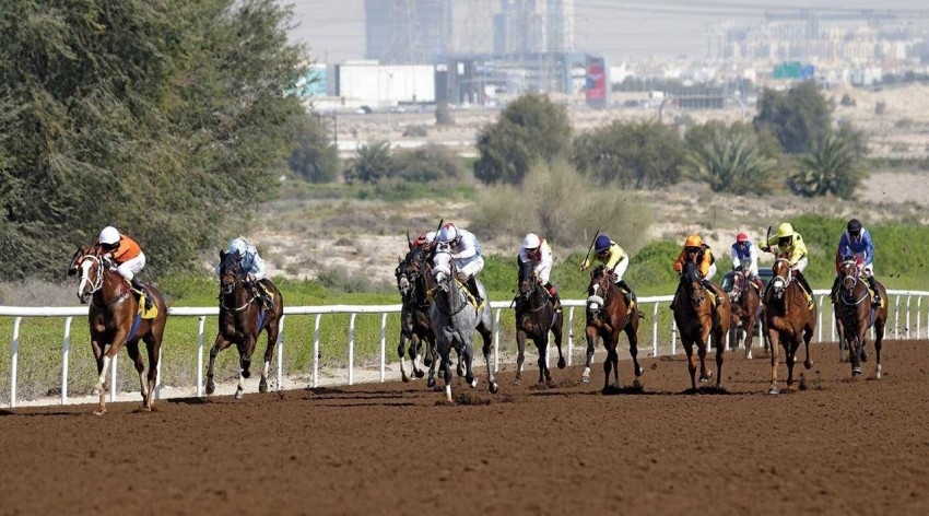 إلغاء سباقات هيئة الإمارات للخيل موسم 2019 ـ 2020