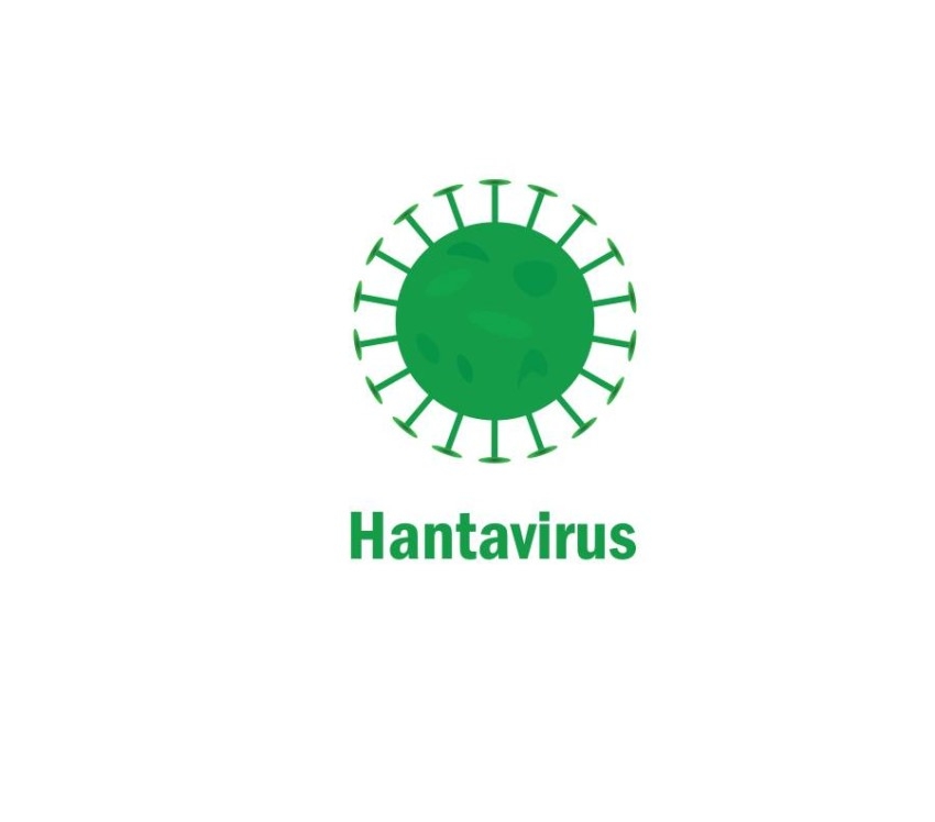 معلومات عن فيروس هانتا.. ما هو؟