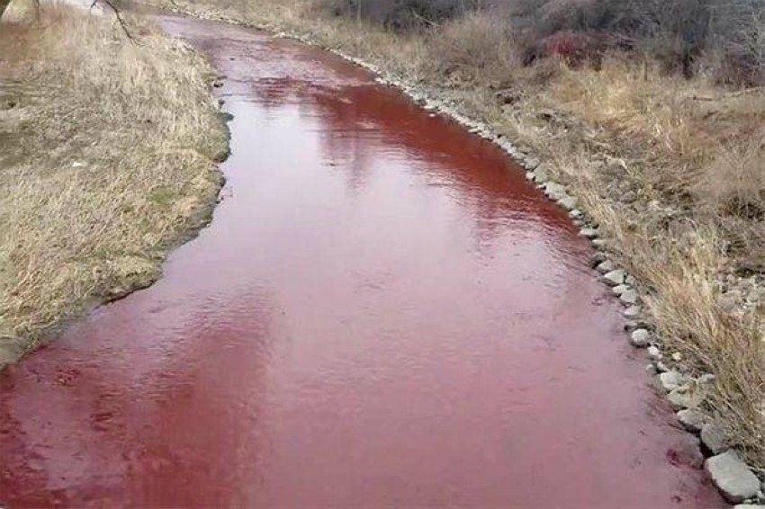 مياه نهر بلون الدم ترعب السكان في كندا