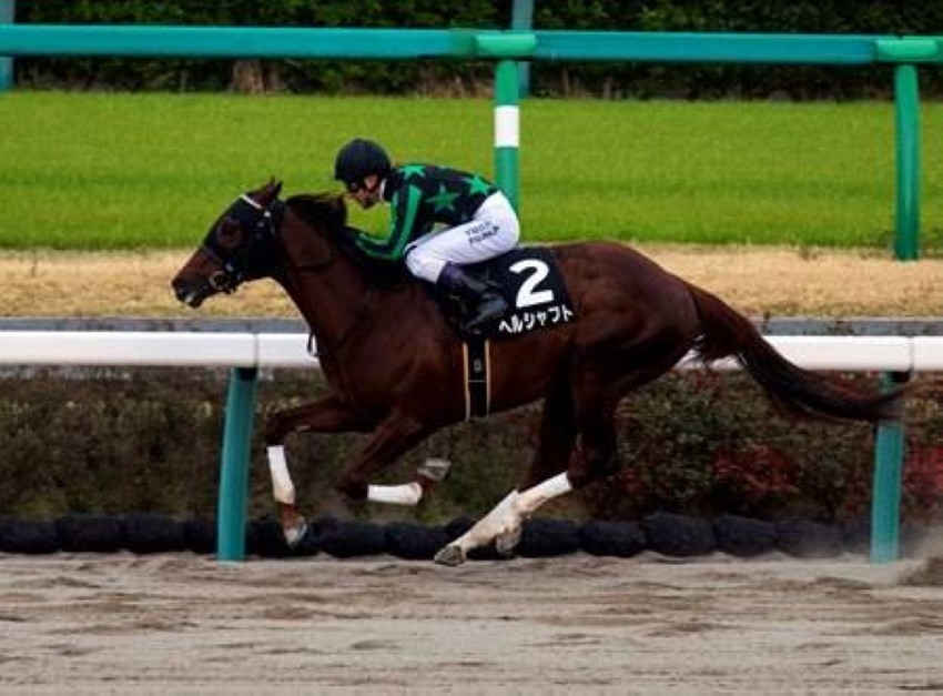«هيرس شافت» يقلب توقعات الخيول اليابانية في الطريق نحو ديربي كنتاكي