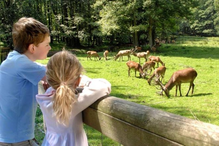 حدائق الحيوان في ألمانيا تطلب دعماً بـ100 مليون يورو لمواجهة كورونا