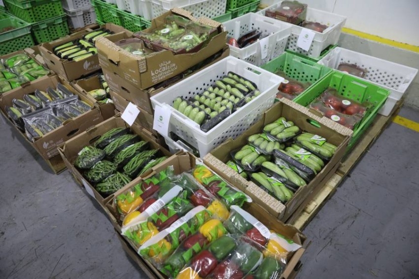 الإمارات تنتج 70 صنفاً من الخضار والفاكهة و«المحلي» ينافس المستورد