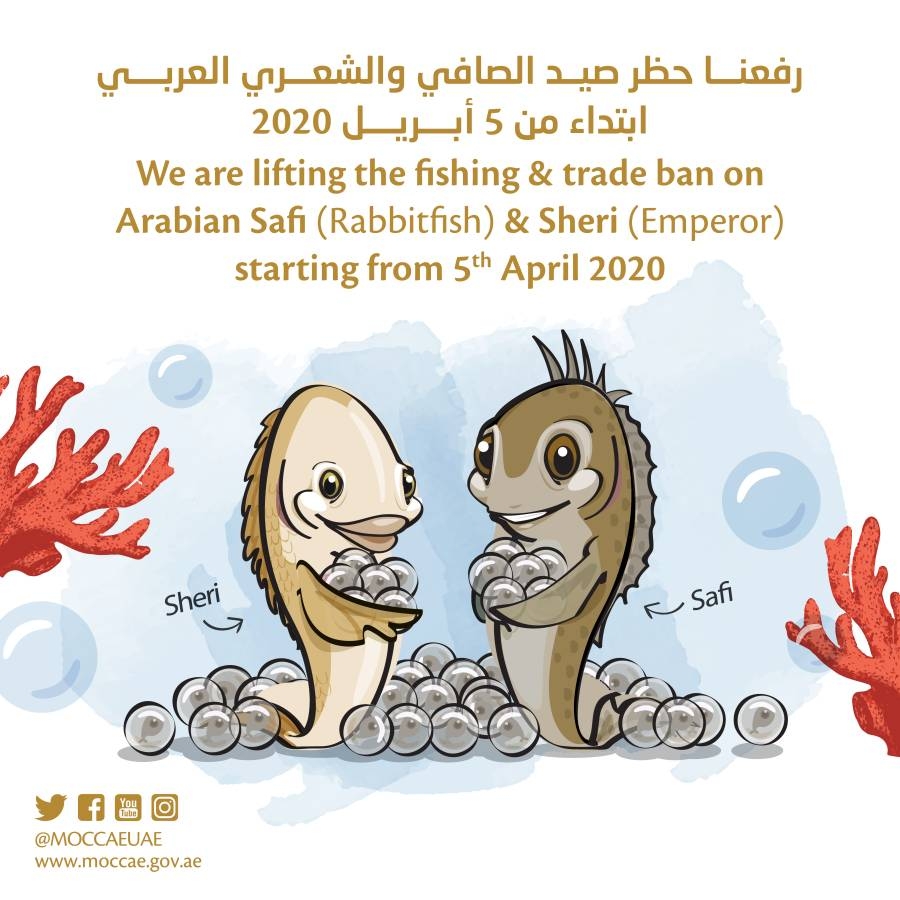 «التغير المناخي والبيئة» ترفع حظر صيد الصافي والشعري للموسم الحالي