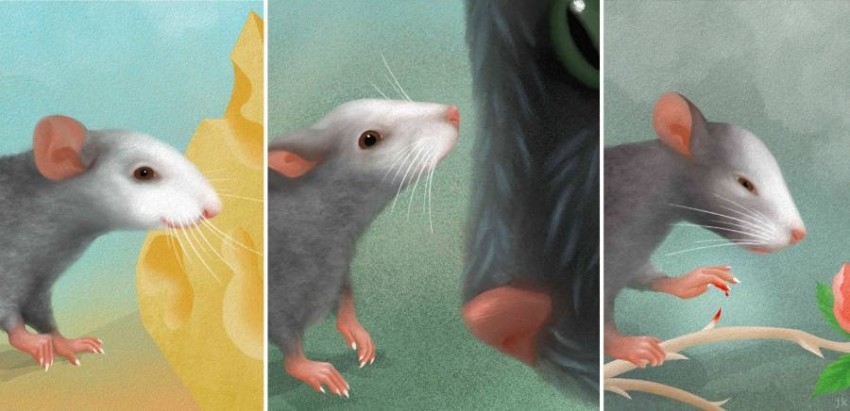 باحثون: تعابير وجه الفئران تعكس مشاعرها كالبشر