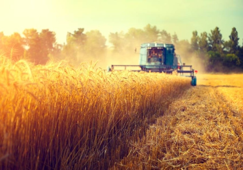 «أبوظبي للاستثمار» يدعم الابتكار في التكنولوجيا الزراعية بمليار درهم