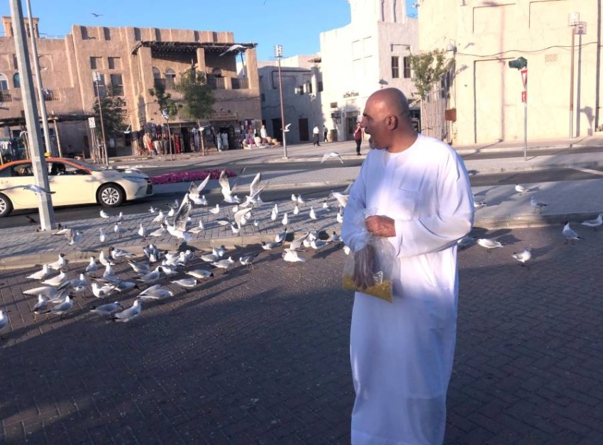 صديق الطيور.. عبدالرحمن البستكي لم ينقطع عن إطعام النوارس منذ 9 أعوام