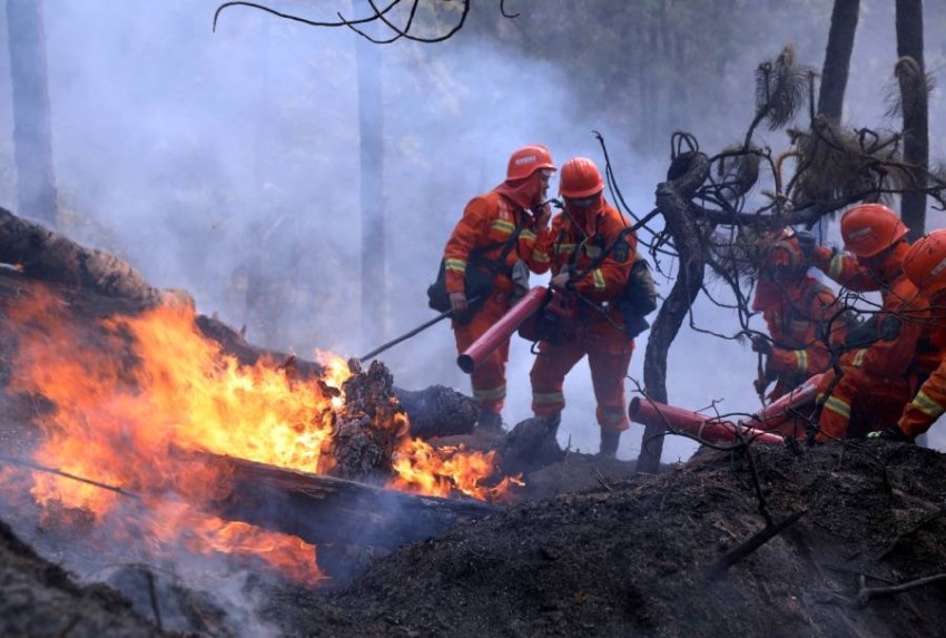 مئات من رجال الإطفاء يكافحون لإخماد حريق غابات بالصين