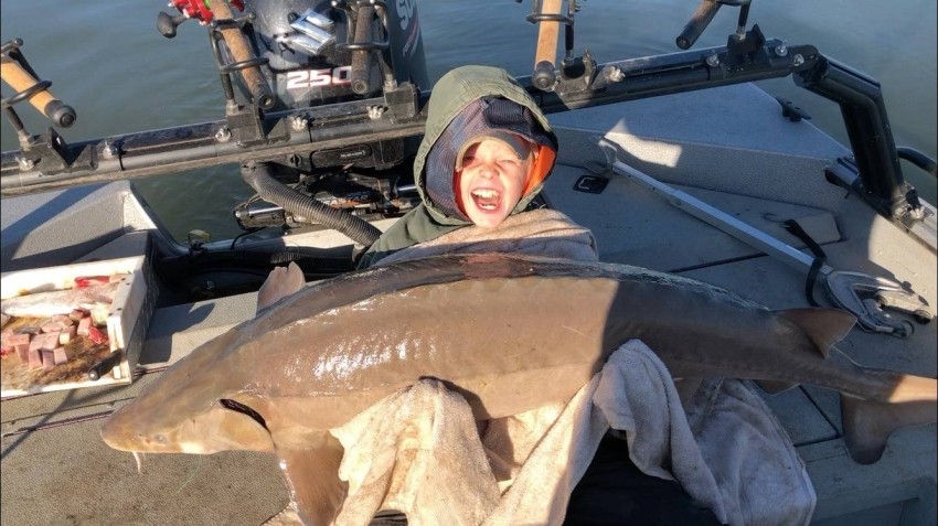 طفل أمريكي يطلق سراح سمكة عملاقة بعد اصطيادها