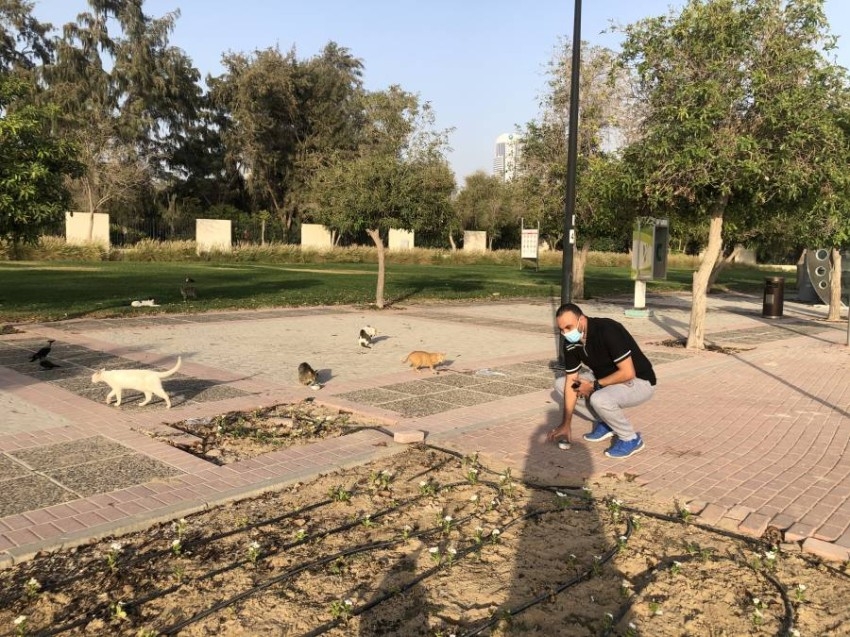 بدافع الإنسانية.. مقيم يتطوع بالبحث عن القطط وإطعامها في دبي