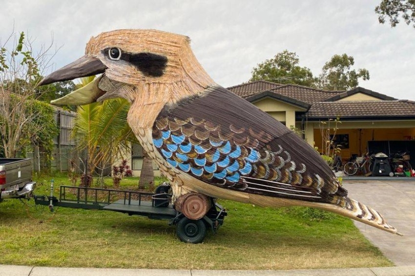 بالفيديو.. طائر الكوكابورا العملاق ينثر البهجة في أستراليا