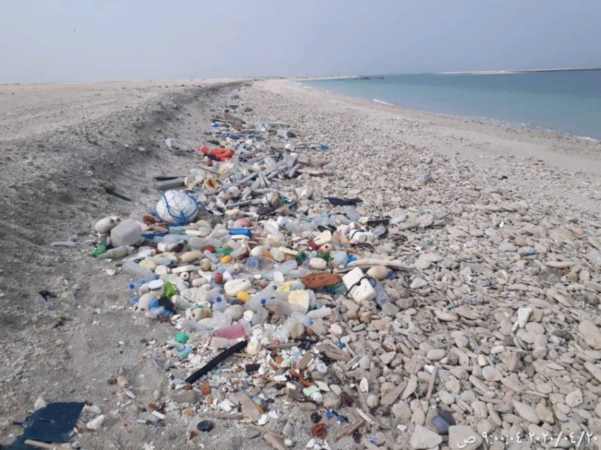 حملة لتنظيف جزيرة حالة البحراني بأبوظبي