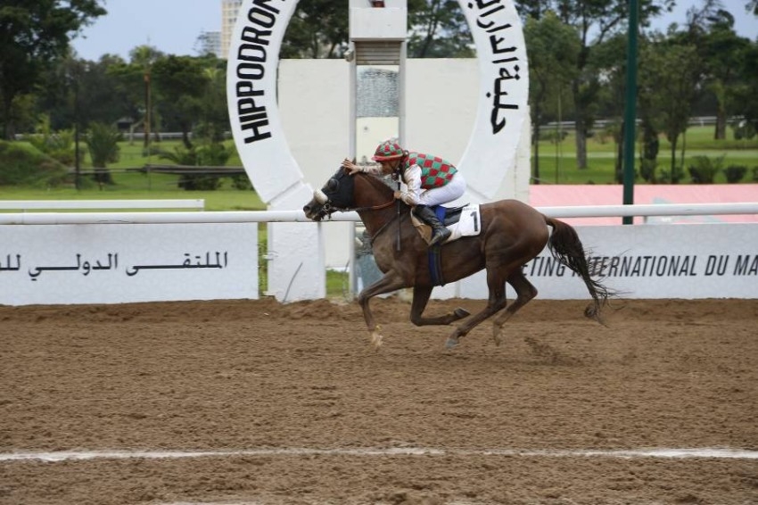 خيول «الإمارات» تنافس في بري داماس وتولوز