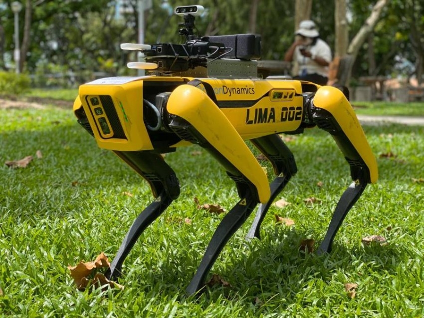 «روبوت كلب» يراقب المارة في متنزهات سنغافورة