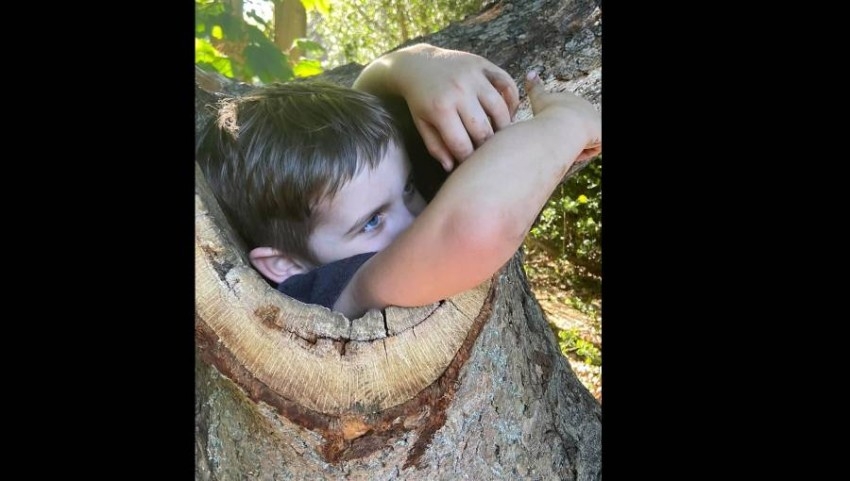 جذع شجرة يبتلع طفلاً في إنجلترا