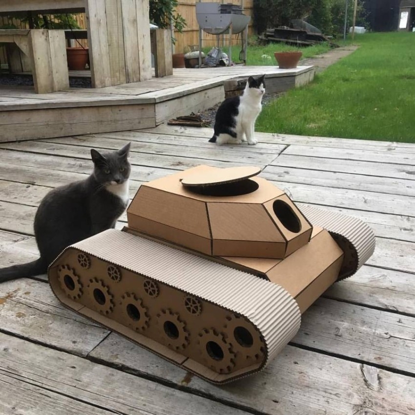 قطط تحارب بدبابات كرتونية على إنستغرام
