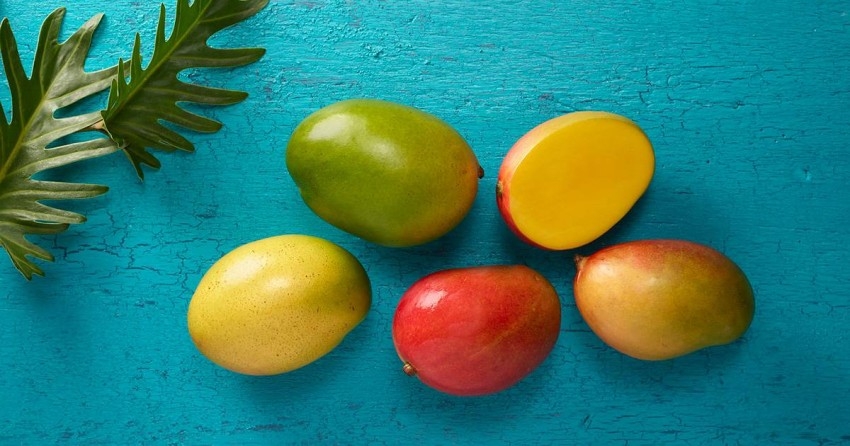 5 فوائد للمانجو.. فاكهة الصيف المفضلة