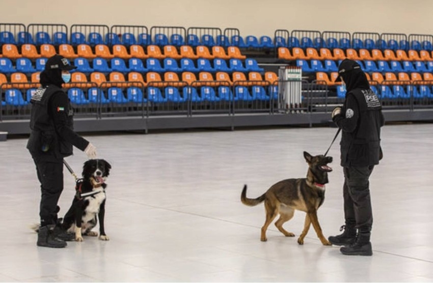 شرطيات بدبي يقتحمن عالم تدريب الكلاب البوليسية ويطمحن للعالمية