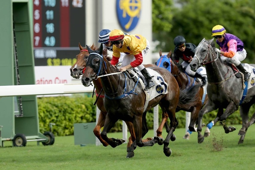 «الساحر» يطارد «بورتون» على لقب الفرسان في سباقات هونغ كونغ
