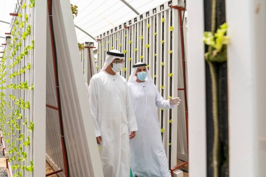 محمد بن زايد أثناء زيارة مَزارع في أبوظبي: الزراعة من صميم أمننا الوطني بمفهومه الشامل