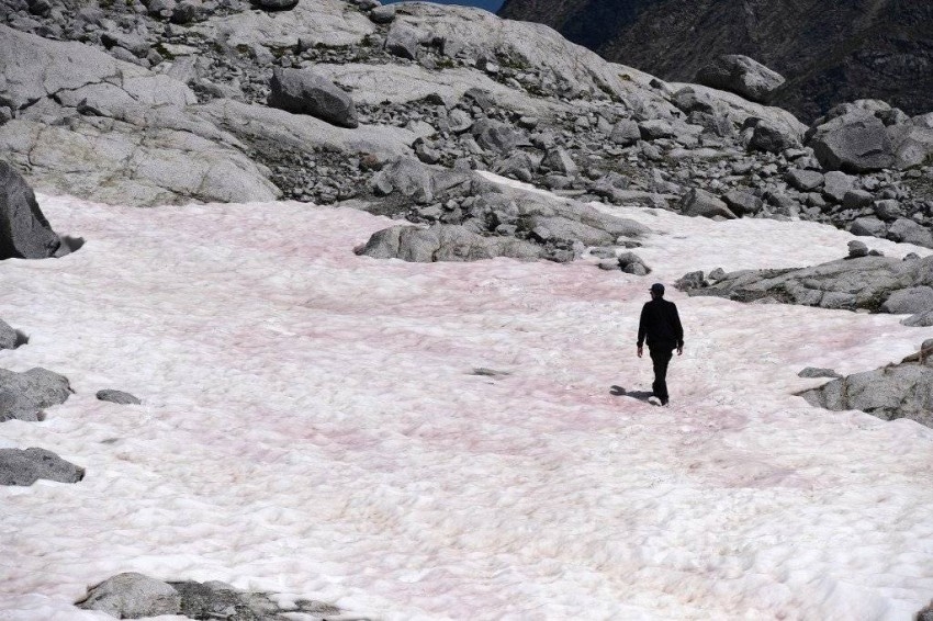 غموض يكتنف ظهور جليد وردي في جبال الألب