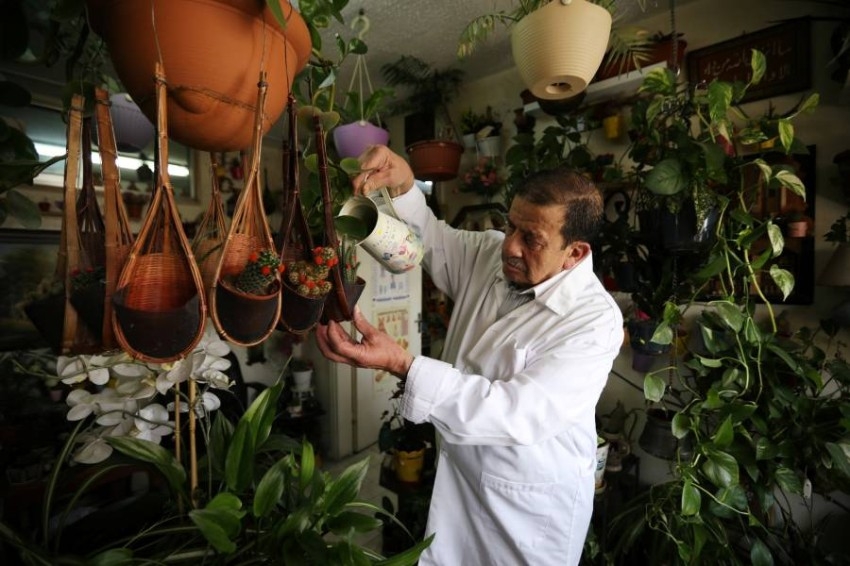طبيب أردني يحوّل عيادته إلى حديقة مفعمة بالزهور والنباتات