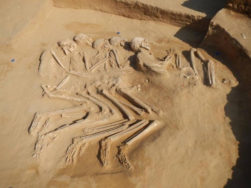 مقبرة أثرية تكشف طقوس الدفن بصحبة اللآلئ وأدوات الصيد  في أم القيوين قبل 80 قرناً