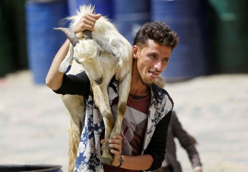 غلاء الأضاحي يُعكِّر فرحة اليمنيين في العيد